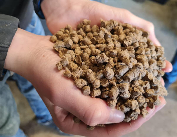 Schaf Woll-D&uuml;nge-Pellets